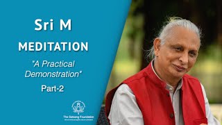 Sri M  Meditation A Practical Demonstration  Part 23 [upl. by Denn]