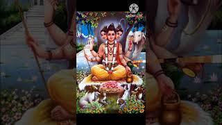 Datta Maharaj 🙏 shortshorts song [upl. by Annid]