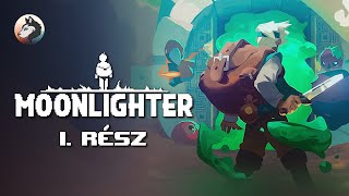 💰 Első benyomások  Moonlighter PC  Steam  Hard [upl. by Neleag]