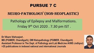 Pursue 7C Uploaded Neuropathology Pathology of Epilepsy and Malformations [upl. by Azrim885]