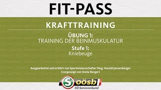 FitPass I Krafttraining Übung 1 Stufe 1 [upl. by Mike]