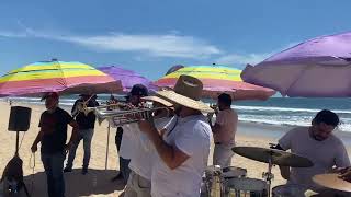 LA CUICHI  BANDA LA ADECUADA DE MAZATLÁN SINALOA [upl. by Zusman]