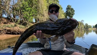 Northern nsw estuary fishing [upl. by Onavlis]