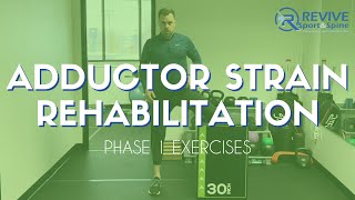 Adductor Strain  Groin Strain Rehab  Phase 1 Exercises  Midvale Utah Sports Chiropractic [upl. by Seely]