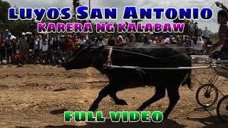 luyos San Antonio karera ng kalabaw 2024 full video [upl. by Ewold]