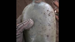 Privy Digging 1st Historical Flask😲 and super Rare Insulator [upl. by Ykroc8]