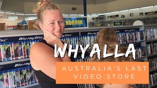 Whyalla South australia  last video store in australia  dolphins and false bay [upl. by Aryajay]