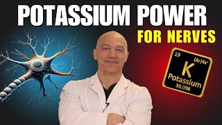 The Surprising Power of Potassium for Nerves  The Nerve Doctors [upl. by Ahsatam]