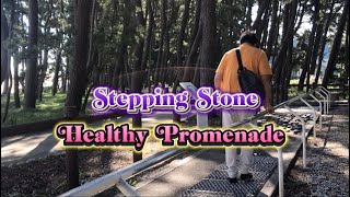 Discovery￼ Park Stepping Stone Healthy Promenade japan [upl. by Millisent]