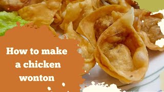 Expert Chicken Wonton Recipe  Fried chicken wonton recipe [upl. by Getter591]