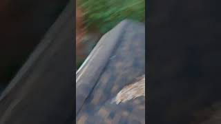 roofing youtuberr shortvideo automobile roofr construction roof [upl. by Yartnod778]