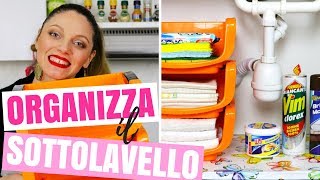 COME ORGANIZZARE IL SOTTOLAVELLO 10 IDEE PER TENERE IN ORDINE IL SOTTO LAVANDINO  CASA ORGANIZZATA [upl. by Annasus]