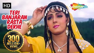 तेरी बंजारन रस्ता देखे  Teri Banjaran Rasta  Sridevi Hit Song HD  Alka Yagnik  Banjaran [upl. by Eisso]