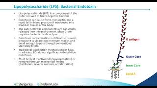 Bacterial Endotoxin Testing History InhibitionEnhancement and Process Control [upl. by Villada832]