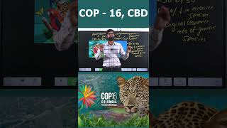 COP 16 CBD termsinnews whyinnews COP16CBD natureconservation sustainablefuture [upl. by Thurman]