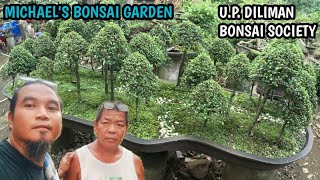 MICHAELS BONSAI GARDENUP DILIMAN BONSAI SOCIETY [upl. by Ahsie754]