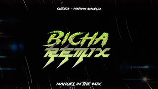 BICHA REMIX  REMIX FIESTERO NAHUEL IN THE MIX [upl. by Allemrac]