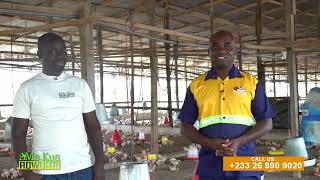 STRATEGIES FOR EFFECTIVE POULTRY FARMING [upl. by Alfreda]