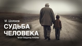 «Судьба человека» МШолохов Аудиокнига Читает Владимир Антоник [upl. by Anihpled]