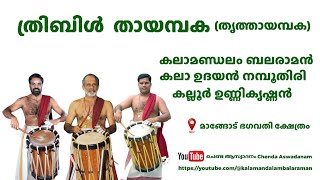 തായമ്പകകലാ ബലരാമൻകലാനി ഉദയൻ നമ്പൂതിരികല്ലൂർ ഉണ്ണികൃഷ്ണൻ ThayambakaBalaramanUdayanUnnikrishnan [upl. by Ueih]