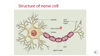 Autonomic pharmacology part 1 [upl. by Crutcher726]