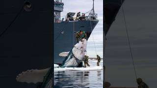 Soldiers save giant whale from fishing net [upl. by Adiuqal]