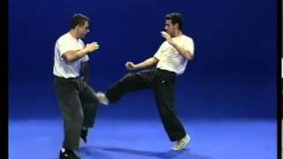 Tutorial Krav Maga Techniques [upl. by Reitman]