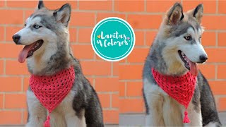 🐶❤ BELLA Bufanda triangular para MASCOTAS tejida a crochet  Lanitas y Colores [upl. by Pascale]