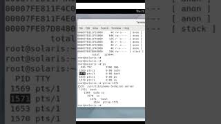 Solaris Operating System Process ‘ps’ and Process Tree ‘ptree‘ Commands [upl. by Manley]