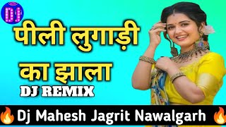 Pili Lugadi Ka Jhala Kar Meta Dor Dj Remix  Old Rajasthani Dance 3D Hullara Brazil Remix 2024 [upl. by Draner]