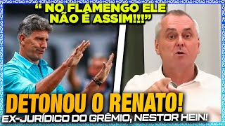 🚨 TRETA NESTOR HEIN DETONA RENATO GAÚCHO AO VIVO [upl. by Mlohsihc]