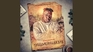 Tshamutshakata feat Dalom kids Starr Healer amp Dj GunDo [upl. by Redla959]