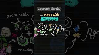 What IS the Maillard reaction cooking food yum GBD [upl. by Acceb]