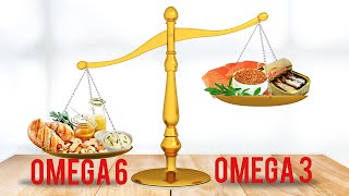 Get Your Omega6 to Omega3 Ratios Balanced [upl. by Naryk]