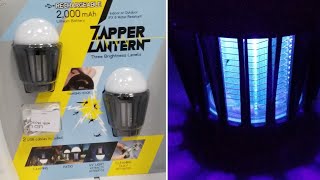 Costco Zapper Lantern Portable Rechargeable Mosquito Zapper and Light Review [upl. by Reywas721]