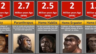 Human evolution and timeline [upl. by Ode]