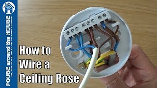 How to wire a ceiling rose  lighting circuits explained Ceiling rose pendant install [upl. by Darya]