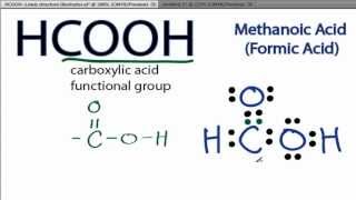 HCOOH Lewis Structure How to Draw the Lewis Structure for HCOOH [upl. by Manwell]