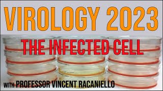 Virology Lectures 2023 11 The infected cell [upl. by Lilybel]