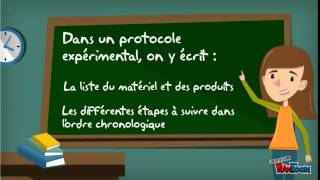 Lécriture dun protocole expérimental [upl. by Ulla565]