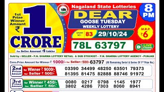 LIVE Lottery Sambsd 8pm Official 29102024 Result  Nagaland State Lottery [upl. by Ikiv]