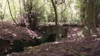 Dreghorn Woods Edinburgh May 2014 [upl. by Nolte391]