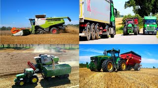 Żniwa pszenicy 2024  Claas Lexion  John Deere  Mercedes Benz [upl. by Assirrak]