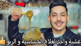 عشبة واحدة تعالج وتقضي على الحساسية الربو وضيق التنفس لصغار والكبار😱👍 [upl. by Aizatsana]