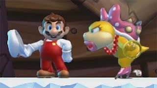 New Super Mario Bros U 100 Walkthrough Part 4  Frosted Glacier All Star Coins amp Secret Exits [upl. by Bugbee72]