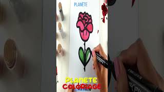 Coloriage Rose Apprendre vidéo éducative amp Planète coloriage [upl. by Norvell838]