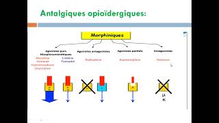 cour14 les antalgiques [upl. by Ecyar]