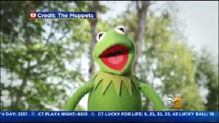 Kermit Actor Quits The Muppets [upl. by Nevear]