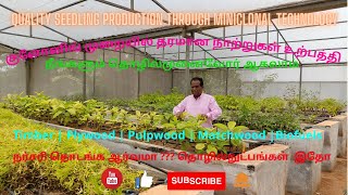 Quality seedling Production Through Miniclonal Technology [upl. by Eima]