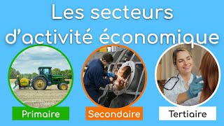 Les secteurs dactivité économique [upl. by Koss553]